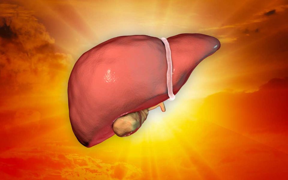 NASH Treatments - The Quest for the Holy Grail