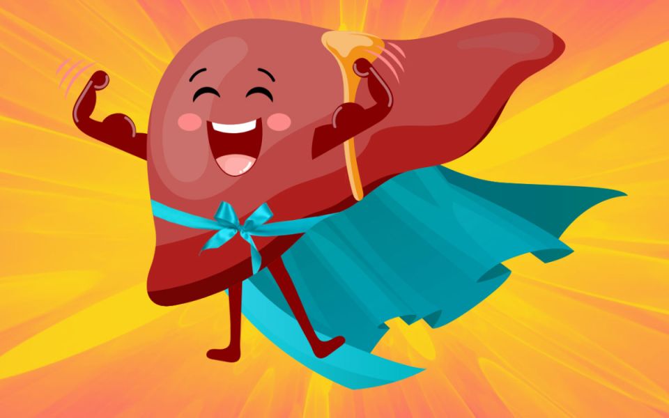 The Liver: Our Unsung Hero and Guardian of Life