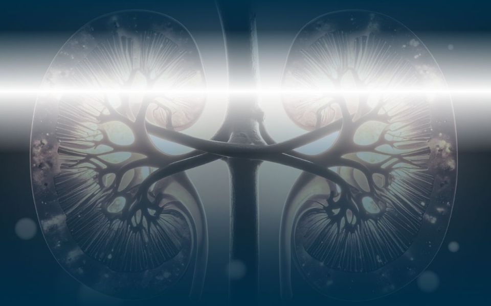 What's On the Horizon for Polycystic Kidney Disease (PKD)?