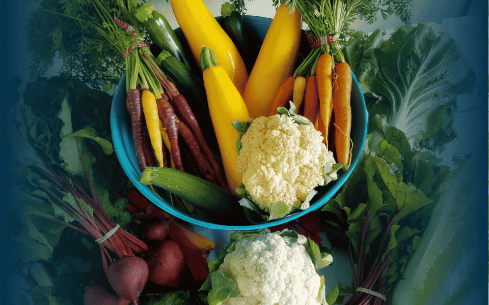 How Healthy Lifestyles Increase Lifespan