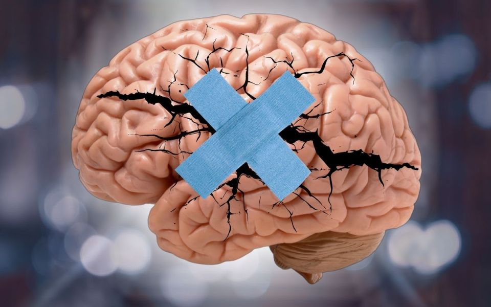 The Brain's Worst Hit: Understanding Traumatic Brain Injury